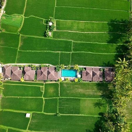 Intan Villa & Suite Ubud Екстер'єр фото
