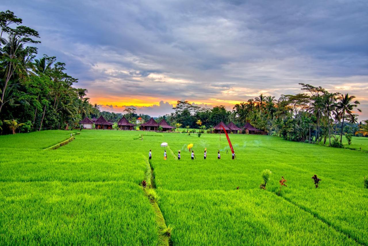 Intan Villa & Suite Ubud Екстер'єр фото