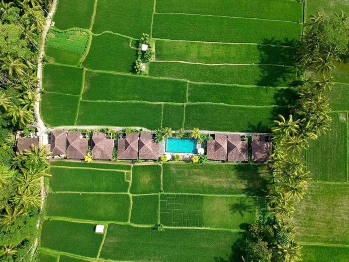 Intan Villa & Suite Ubud Екстер'єр фото